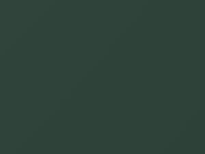 Light Green Metallic touch-up paint for Nissan, code 818, 1979