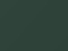 Light Green Metallic touch-up paint for Nissan, code 818, 1979