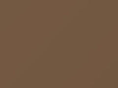 Light Sienna Metallic touch-up paint for Ford, code 61, 6461, 1990