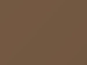 Light Sienna Metallic touch-up paint for Ford, code 61, 6461, 1990