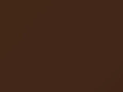 Desert Brown Metallic touch-up paint for Mazda, code Y3, 1979