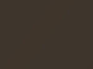 Volkswagen Toffee Brown Metallic touch up paint 4Q 2018 All Models