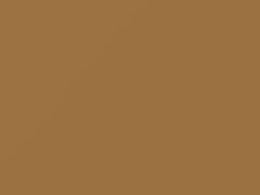Gold touch-up paint for Nissan, code 451, 1996