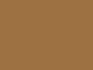 Gold touch-up paint for Nissan, code 451, 1996