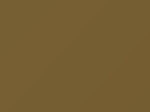 Oro Metallic touch-up paint for Lamborghini, code 2.463.239, 2463239, 2015