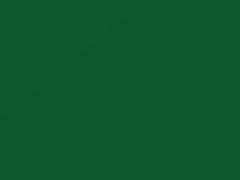 Salsagreen touch-up paint for Volkswagen, code 9631, LD6E, 2000