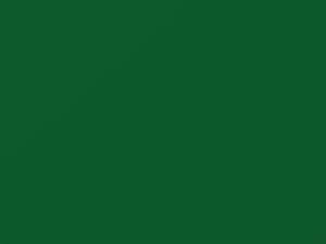 Salsagreen touch-up paint for Volkswagen, code 9631, LD6E, 2000