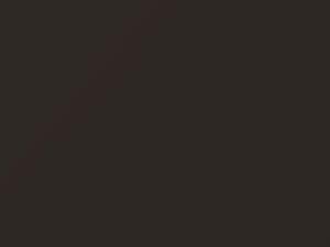 Dark Driftwood Metallic touch-up paint for Chrysler, code CL, 1989