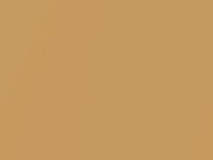 Apricot Mica touch-up paint for Toyota, code 4P0, 1997