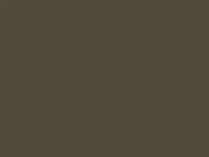 Beige Metallic touch-up paint for Volvo, code 119, 1979