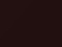 Dark Cordovan Pearl touch-up paint for Chrysler, code DT3486, E9, 1993