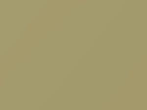 Beige touch-up paint for Nissan, code 218, 1978
