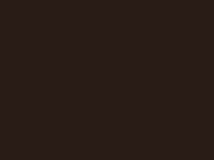 Brown Metallic touch-up paint for Nissan, code 810, 1981