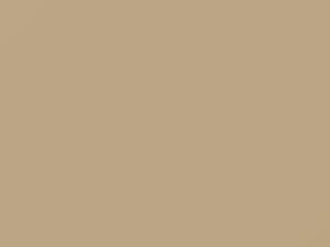 Pastel Alabaster touch-up paint for Ford, code 6435, 1990