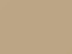 Pastel Alabaster touch-up paint for Ford, code 6435, 1990