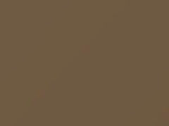 Mercedes-Benz Sandbeige Metallic touch up paint 467 1981 All Models