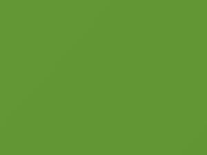Verde Aries touch-up paint for Lamborghini, code 63, 2001
