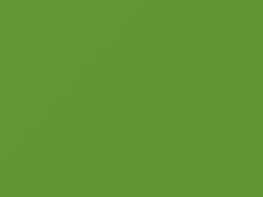 Verde Aries touch-up paint for Lamborghini, code 63, 2000