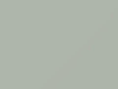 White Pearl touch-up paint for Nissan, code QT1, 2003