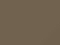 Beige Metallic touch-up paint for Toyota, code 448, 1990