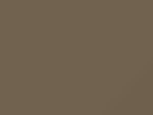 Beige Metallic touch-up paint for Toyota, code 448, 1990