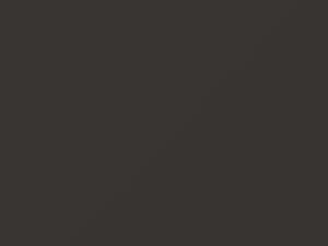 Warm Gray Metallic touch-up paint for Smart, code CC2L, ECG, 2010