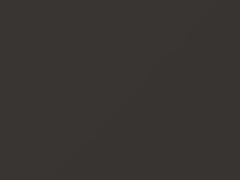 Warm Gray Metallic touch-up paint for Smart, code CC2L, ECG, 2010