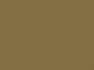 Light Gold Pearl touch-up paint for Nissan, code EJ0, 1990