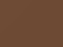 Beige Metallic touch-up paint for Nissan, code 519, 1978