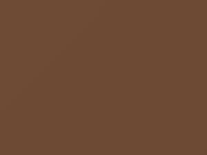 Beige Metallic touch-up paint for Nissan, code 519, 1978