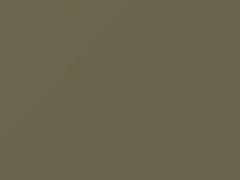 Mercedes-Benz Silberdistel Metallic touch up paint 881 1979 All Models