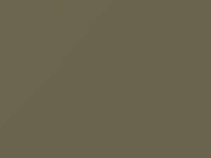 Mercedes-Benz Silberdistel Metallic touch up paint 881 1979 All Models