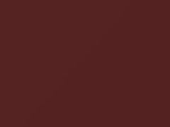 BMW Rubin Rot Metallic touch up paint 18 1977 All Models