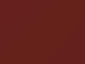 BMW Karneolrot Metallic touch up paint 155 1981 All Models