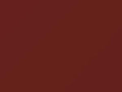 BMW Karneolrot Metallic touch up paint 155 1980 All Models