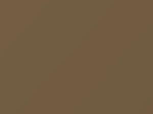 Champagne Metallic touch-up paint for Fiat, code 577, 1976