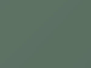 Lawrence Green Metallic touch-up paint for Mitsubishi, code AC10681, G81, 1986