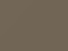 Silver Beige Metallic touch-up paint for Kia, code SB, 1995