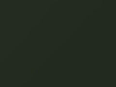 Mercedes-Benz Piniengruen Metallic touch up paint 862 1975 All Models