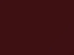 Aki Maroon touch-up paint for Mazda, code NQ, 1989