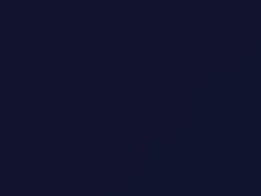 Blau touch-up paint for Smart, code 6304041, 2002