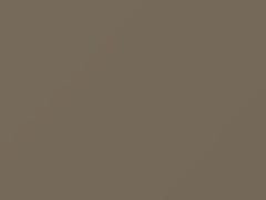 Light Sandalwood Metallic touch-up paint for Ford, code 6253, 1990