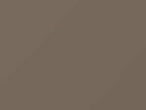 Light Sandalwood Metallic touch-up paint for Ford, code 6253, 1990