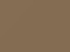 Luxorbeige Metallic touch-up paint for Porsche, code M1T, 2010