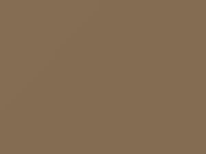 Luxorbeige Metallic touch-up paint for Porsche, code M1T, 2010