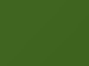 Spruce Brown Metallic touch-up paint for Hyundai, code TK, 2010