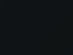 BMW 3 Series Tannengruen Metallic touch up paint 454 2001 3-SERIES