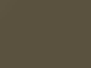 Light Gold Metallic touch-up paint for Nissan, code 517, 1978