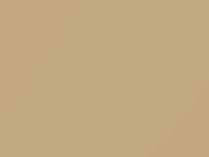 BMW Safaribeige touch up paint 147 1984 All Models