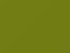 Earth Green Metallic touch-up paint for Mazda, code EU, 1975